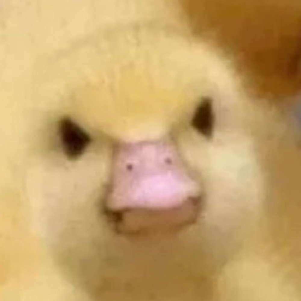 Meet your Posher, Jeff